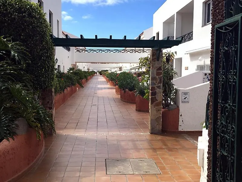 Libelula En Parque Don Jose Apartment Costa Del Silencio